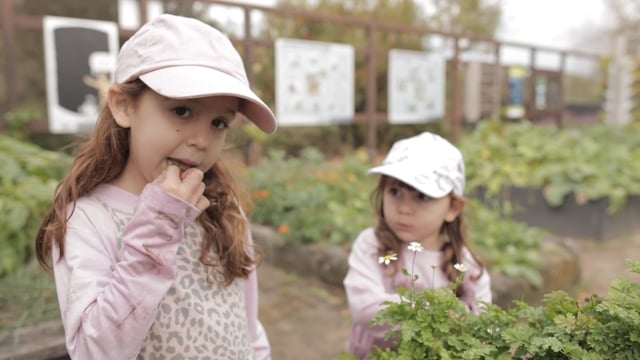 Seven Network Sunrise Community Garden